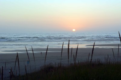 DSC_8235.jpg
