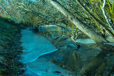 DSC_4077_edit.jpg