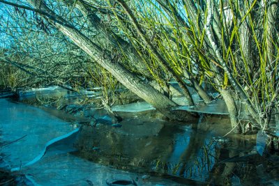 DSC_4079_edit.jpg