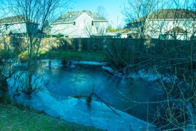 backyard.jpg