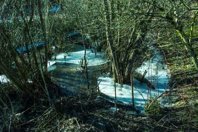 DSC_4085_edit.jpg