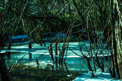 DSC_4091_edit.jpg