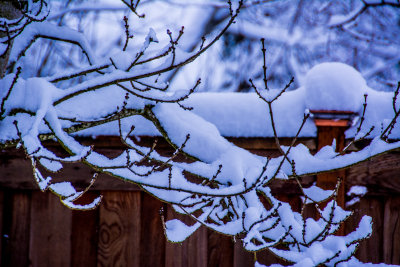 DSC_4108_edit.jpg
