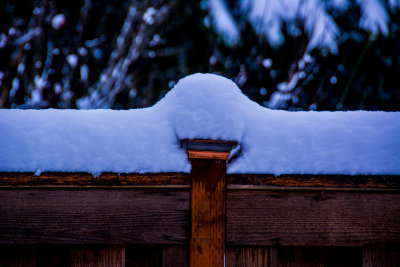 DSC_4103_edit.jpg