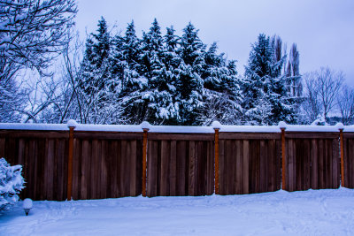 DSC_4097_edit.jpg