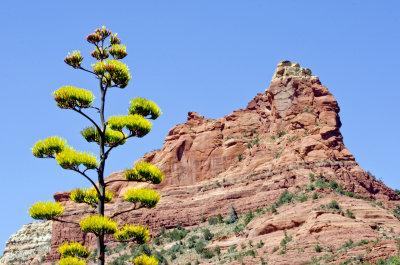 C13_0610b.jpg
