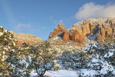 DSC_0949b.jpg