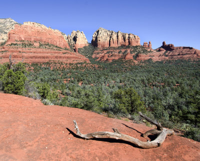 C12_6778a.jpg
