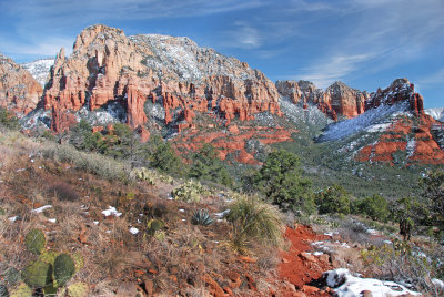 DSC_5914b2011.jpg