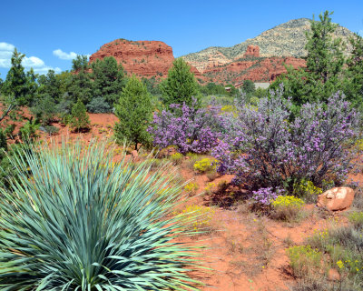 DSC_6701a.8x10.jpg