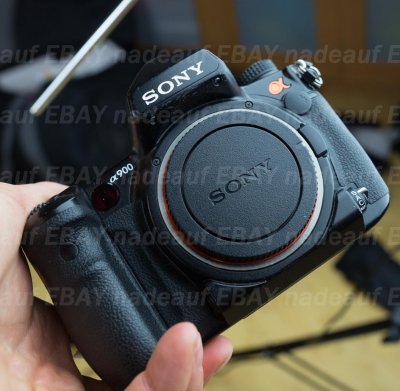 DSC09314 Sony A900.jpg