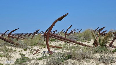 IMG_0342_edited-1.jpg