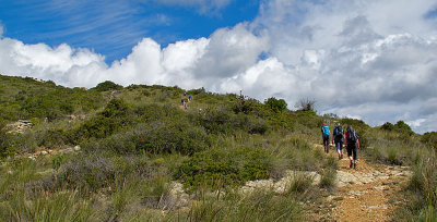 IMG_7486_edited-1.jpg