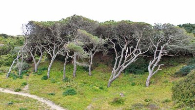 IMG_7533_edited-1.jpg