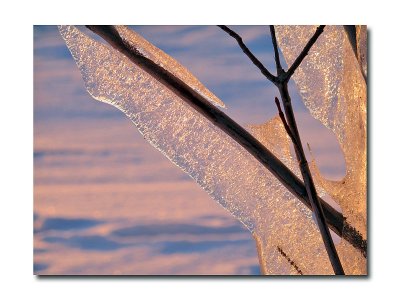 IMG_8153.jpg