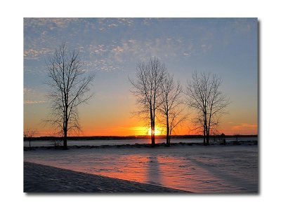 IMG_8157.jpg