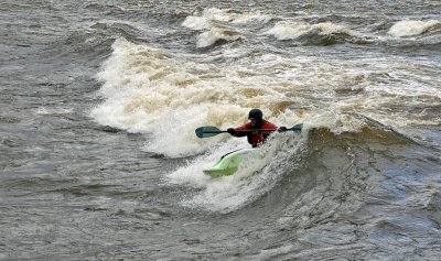 IMG_3793.jpg