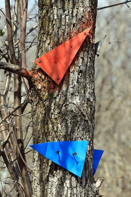 IMG_3928.jpg