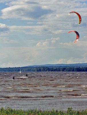 IMG_4478.jpg