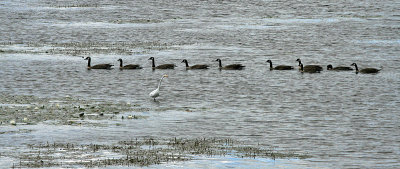 IMG_6355.jpg