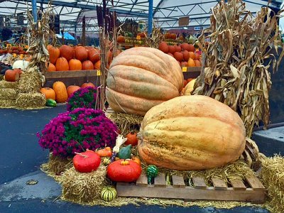 Jean Talon Market