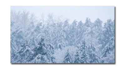 IMG_6928.jpg