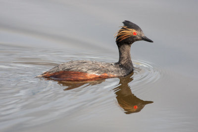 20130605_Frank Lake_0340.jpg