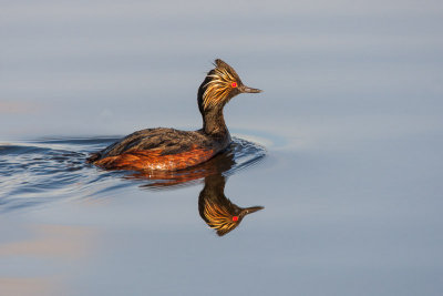 20130605_Frank Lake_0744.jpg