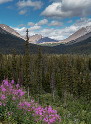 Tonquin Valley