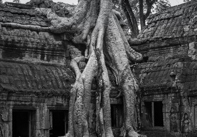 20130926_Angkor Wat_0171.jpg