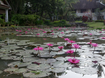20130929_Laos_0328.jpg