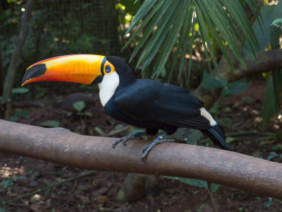 20130612_Foz do Iguacu_0046.jpg