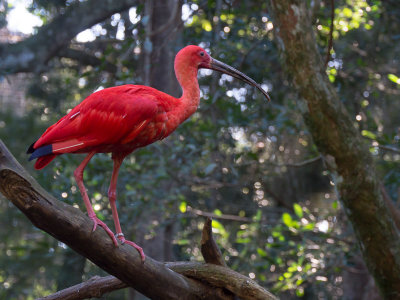 20130612_Foz do Iguacu_0062.jpg