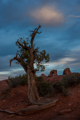 20150501_Arches_0092-HDR.jpg