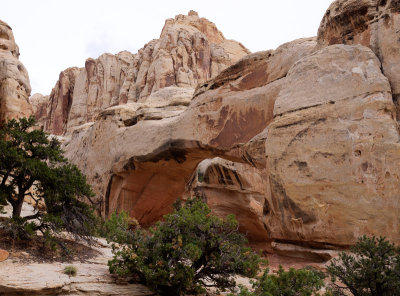 20150505_Capitol Reef_0167_68_69_70.jpg