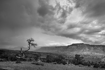 20150505_Capitol Reef_0493_4_5.jpg