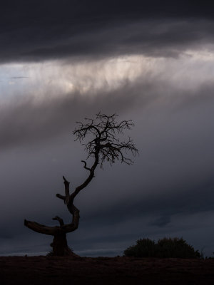 20150505_Capitol Reef_0561.jpg