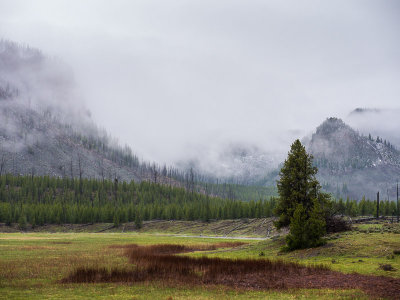 20150512_Yellowstone_0037.jpg