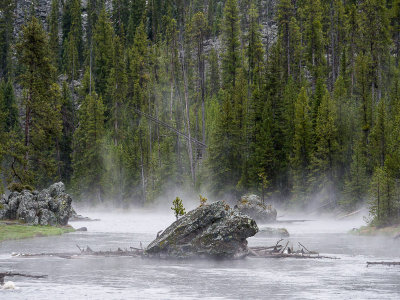 20150512_Yellowstone_0046.jpg