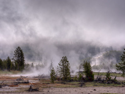 20150512_Yellowstone_0145_6_7_8_9.jpg