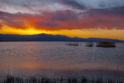 20160417_Bear River_2759-HDR.jpg