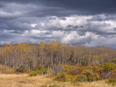 20160924_Pincher Creek_0573-HDR.jpg