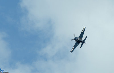 DSC_3379pb4.jpg