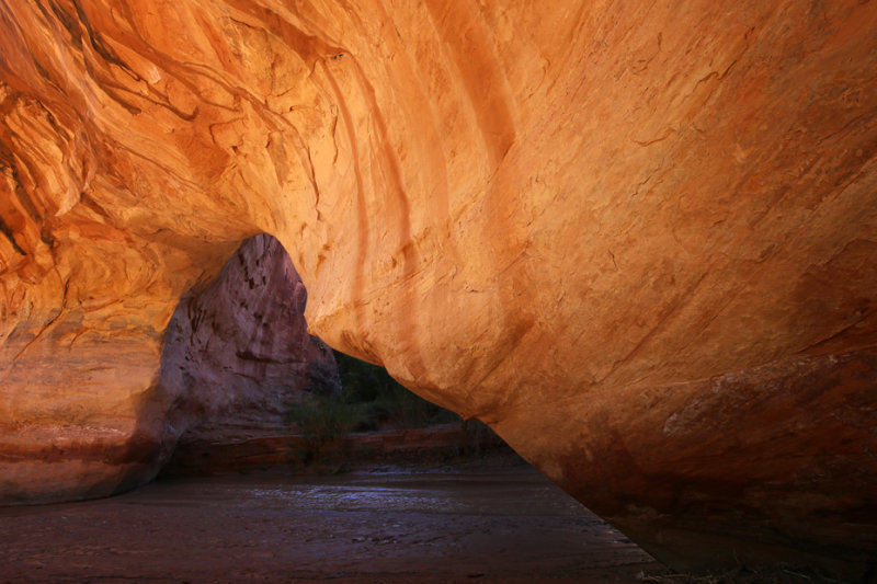 Coyote Gulch