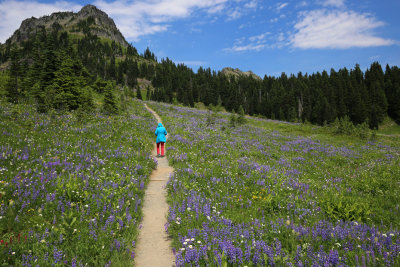 Mount Rainier National Park