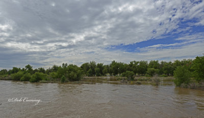 South Platte River 