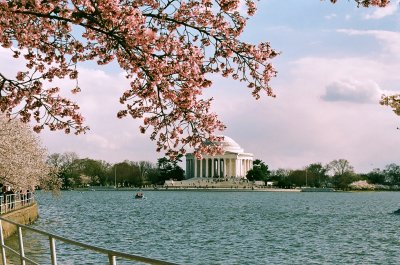 Jefferson Memorial, Cherry Blossoms, 2014