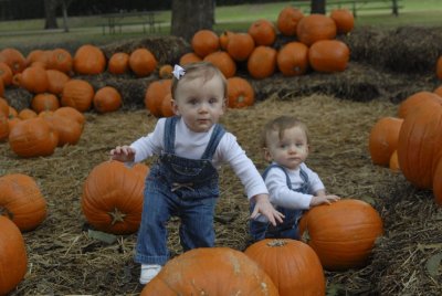 FALL_016.jpg