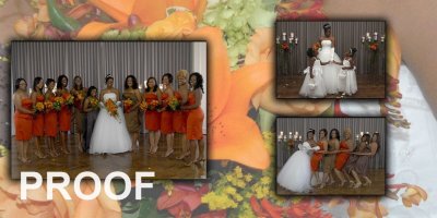 C03_Bride with girlsRG.jpg