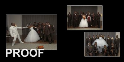 C04_Bride-funRG.jpg